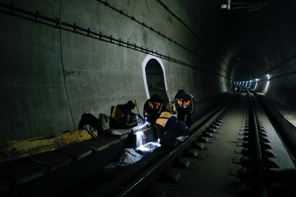 熊口管理区铁路运营隧道病害现状